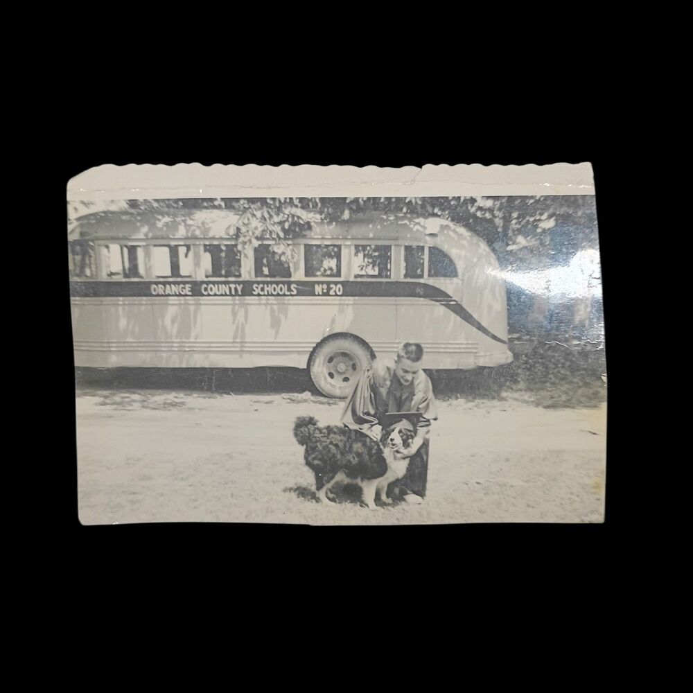 1952 Vintage Photography Dog Wearing Boys High School Graduation Cap! School bus